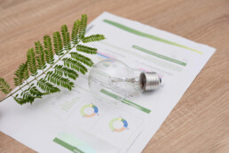 Foglio raffigurante dei grafici con un rametto e una lampadina sopra.