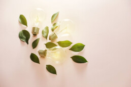 Foglie e lampadine accese che richiamano l'idea di