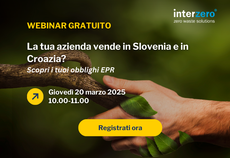 Locandina Webinar 