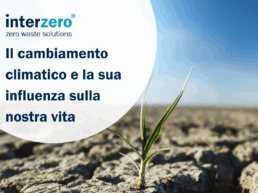 Piccola pianta che nasce da un terreno arido